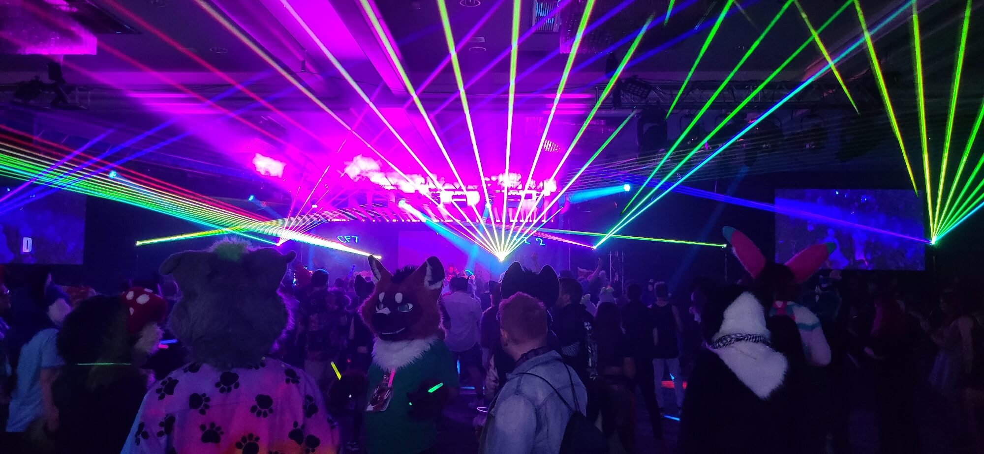 ConFuzzled 2024 - Dead Dog Party